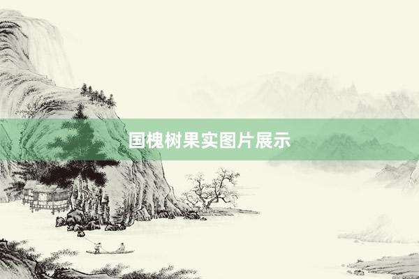国槐树果实图片展示