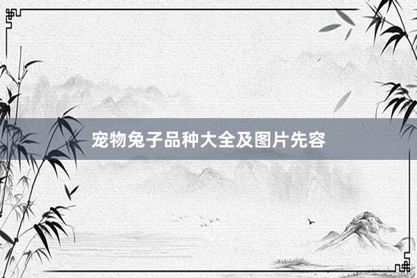 宠物兔子品种大全及图片先容
